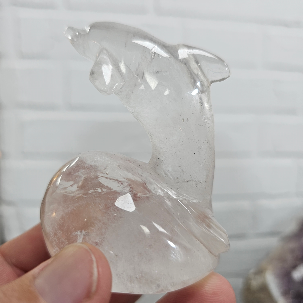 Miniatura: Golfinho em cristal 