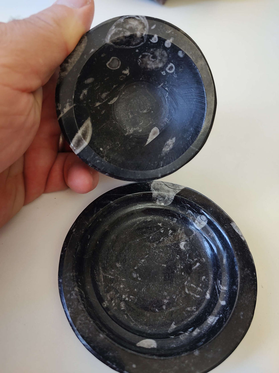 Miniatura: Pote mágico em orthoceras.