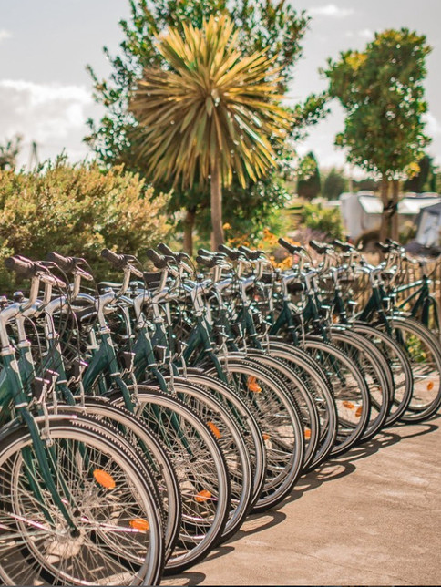 bikes at Sauvage campsite