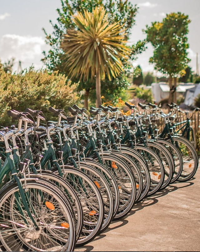 bikes at Sauvage campsite