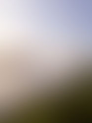 La Loire sous la brume