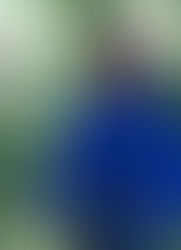 Portrait de Géraldine Lemaître Renault