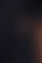 collection jardin d'hiver Barnie