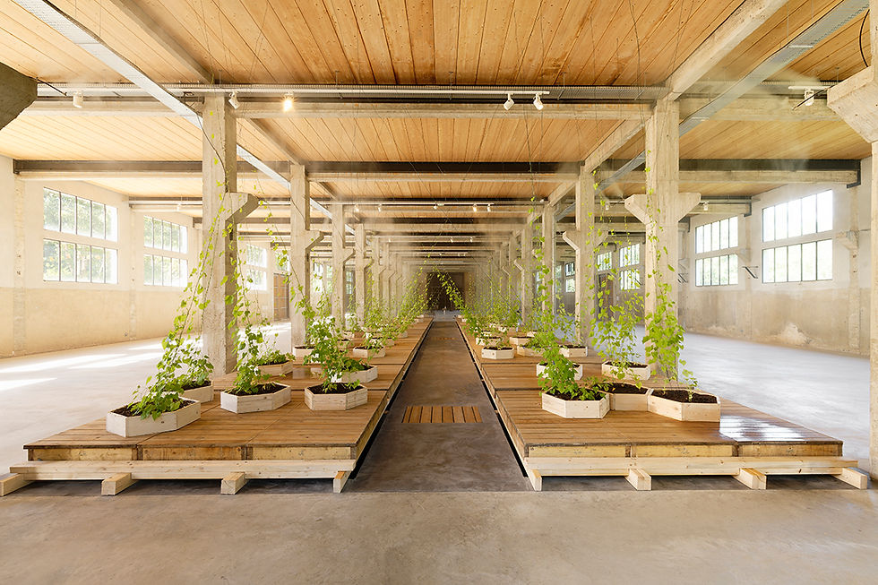 musée des Tanneries