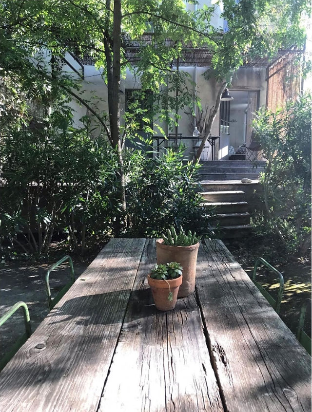 vue du jardin verdoyant de la conserverie