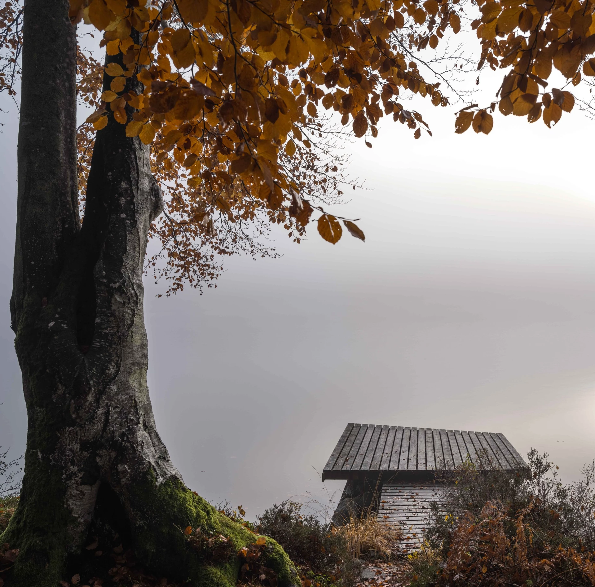 le lac immeln