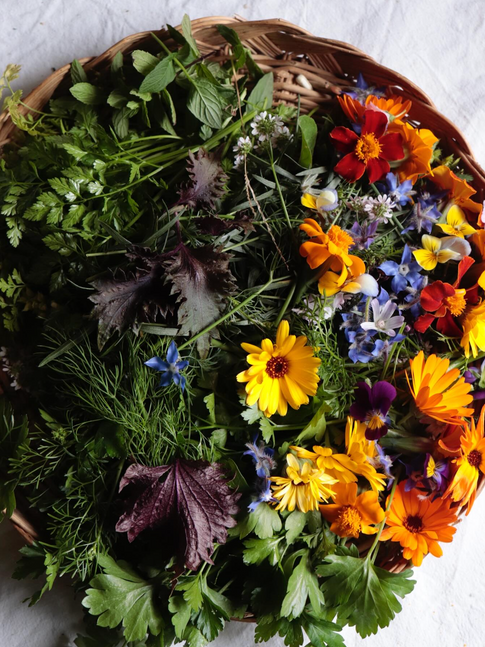 SALADE CHEZ ALICE ROCA