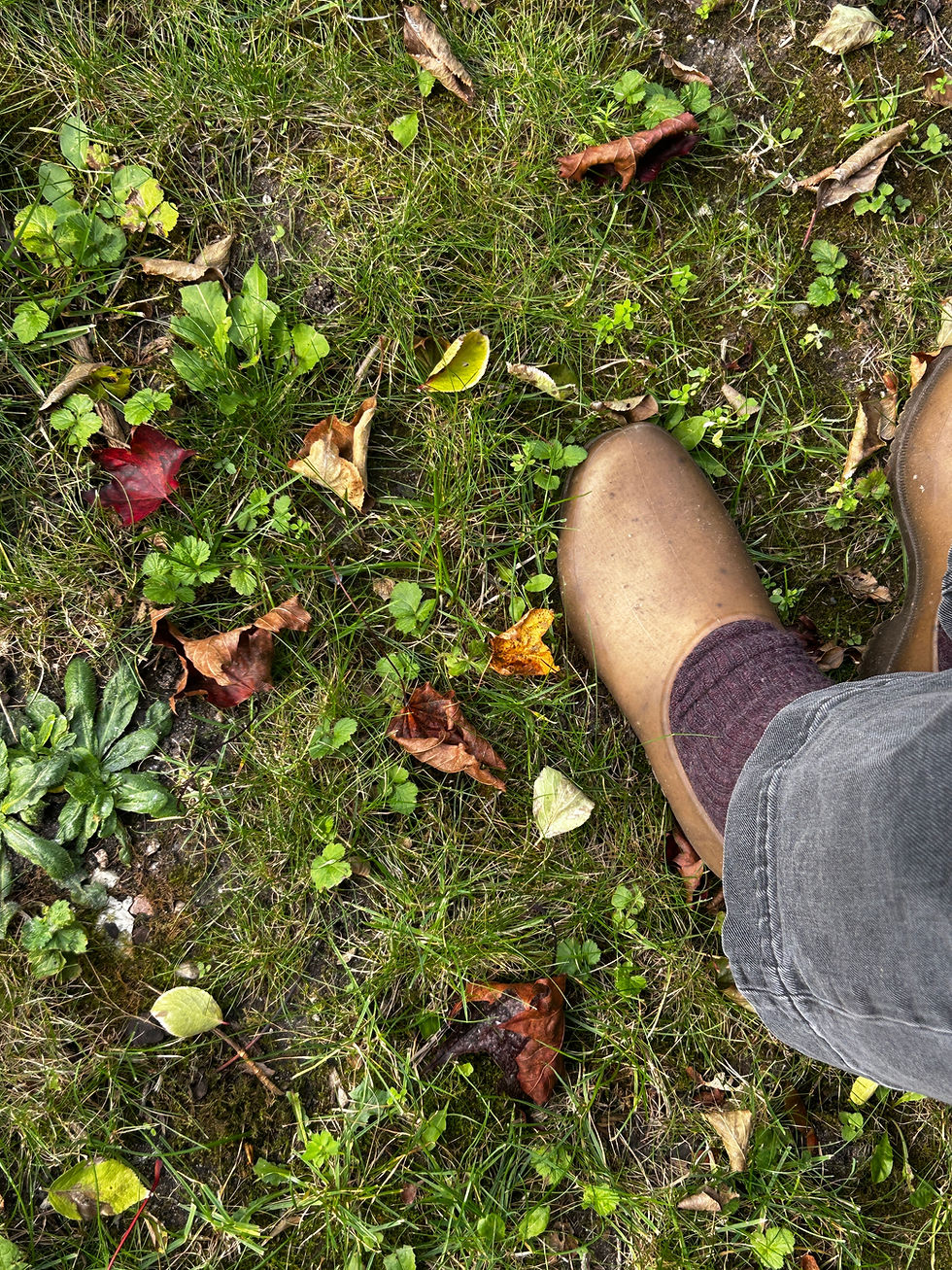 Thumbnail: Sabots en chanvre Gardana - Plasticana