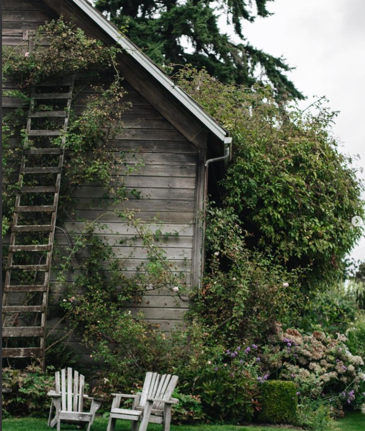 6 COUNTRY LIVING INSTAGRAM