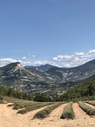 vue des alpilles et du mont ventoux