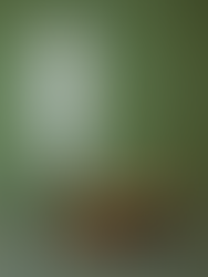 table et lampe BOTHI