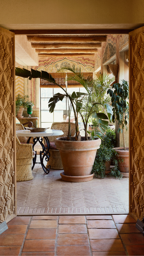 plantes du jardin d'hiver de la Sterrekopje Farm
