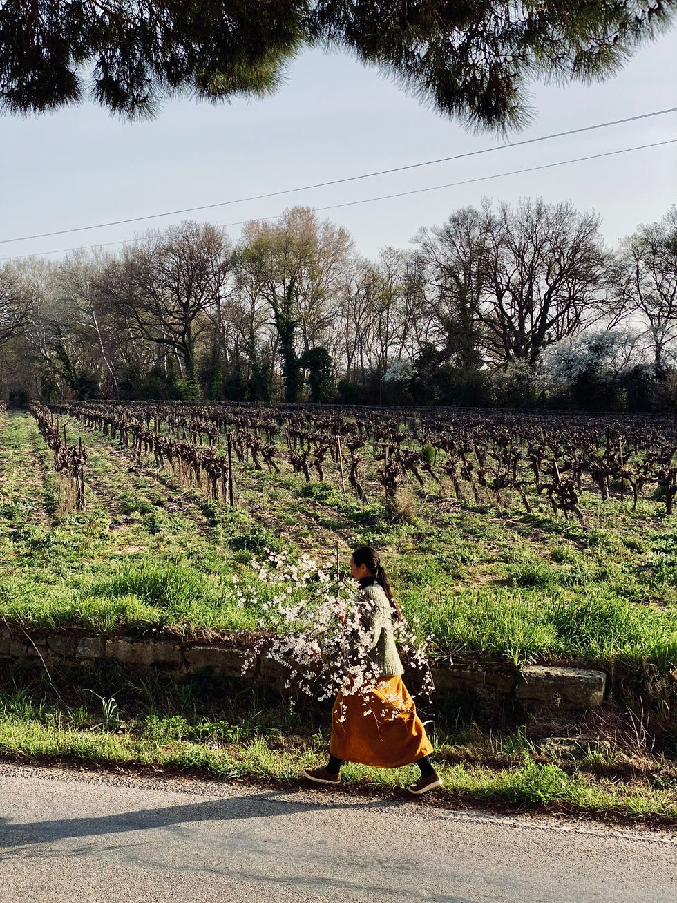 CHRISTELE'S DREAM LIFE 