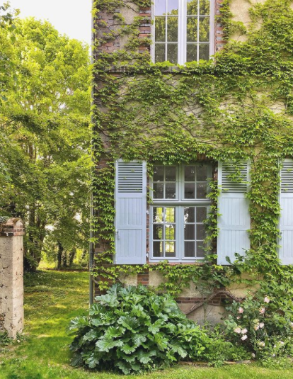 facade vigne vierge volets bleus maison de campagne
