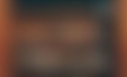 collab zara home x the animal observatory