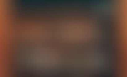 collab zara home x the animal observatory