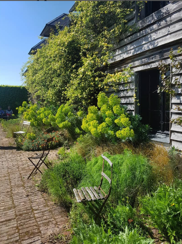 photo de jardin plume à lyons la foret