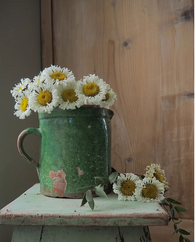 pichet vers et marguerites chez Julia à Dole