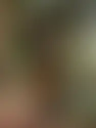 collection folklore brut de monoprix