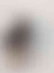 caisse HAY colour crate