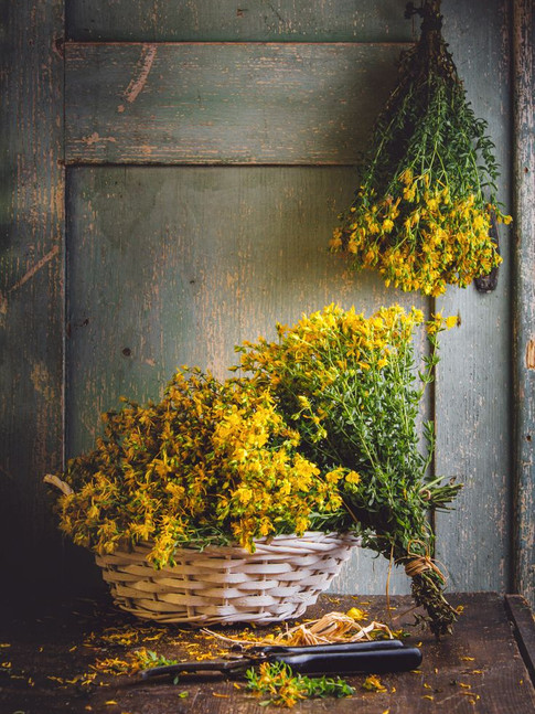 bouquet de millepertuis