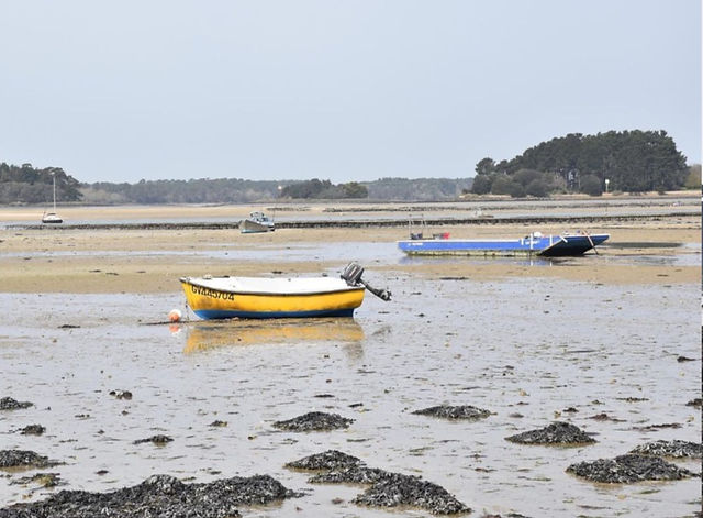 barque jaune sur une plage bretonne à marée basse