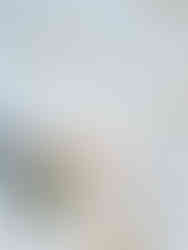 oeufs de pâques pastel et dorés