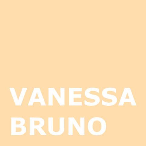 sabot vanessa bruno