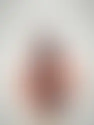 collection échappée nordique de monoprix