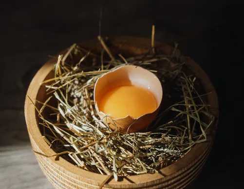 Plat de l'hôtel Eriro