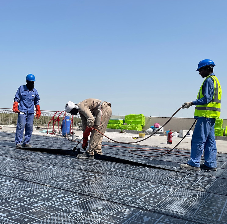 P5650 2025-10-16 at 11.23.22 IMG_3787_ts (47).JPG