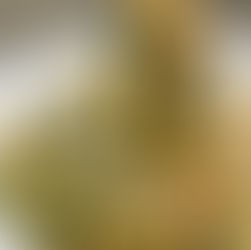 The 5-Best Pasta-less Pastas to Help Keep the Weight Off in 2021!