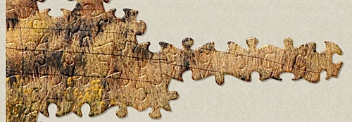 Wire Fence of sorts.jpg