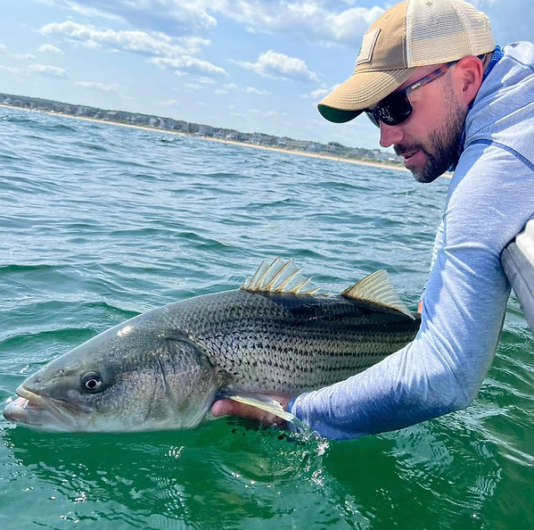 Matt Striper_edited.jpg