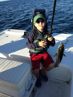 Wells Maine Striper Fishing Charter