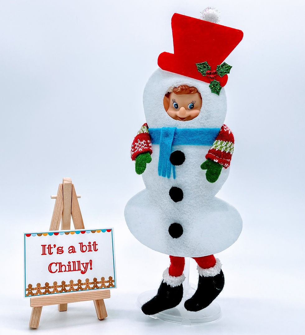 Snowman Costume