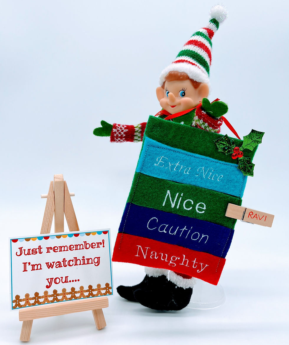 Naughty_Nice scale