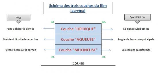 Les rôles du liquide lacrymal