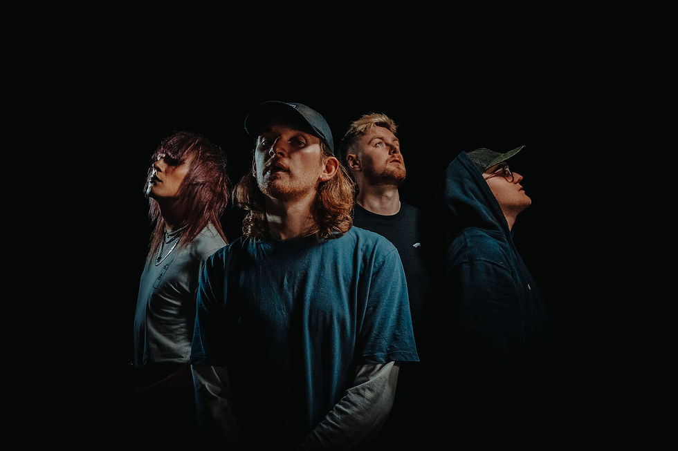 falling again promo.jpg