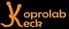 KoProLab Keck