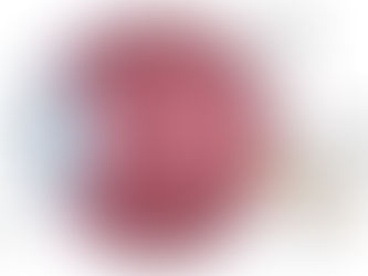 Le fonctionnement de l'œil et les défauts visuels