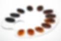 matiere-coffignon-lunettes-ecaille-de-tortue
