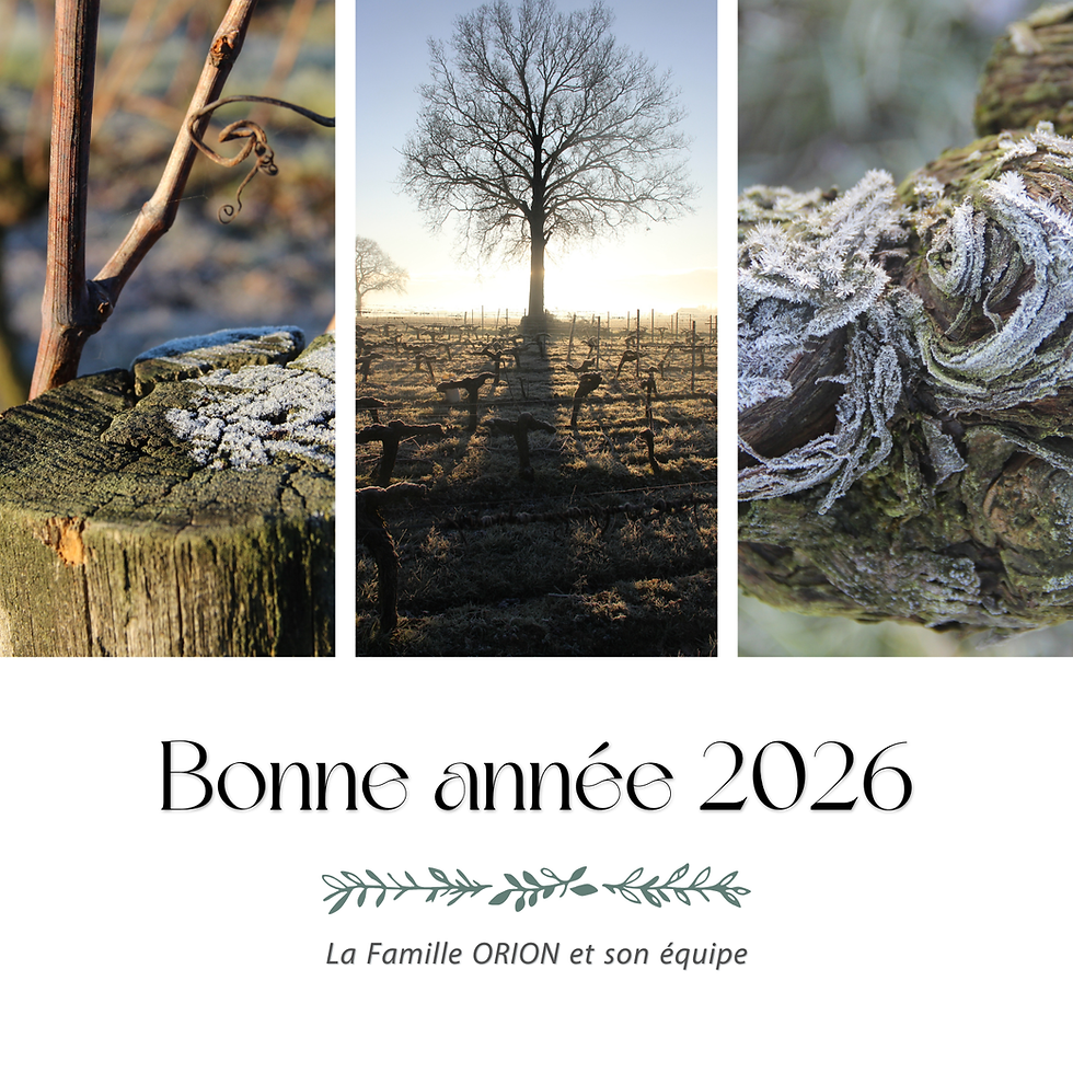 Bonne année 2026 !