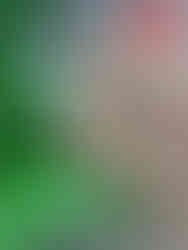 Commercial photography in Altrincham