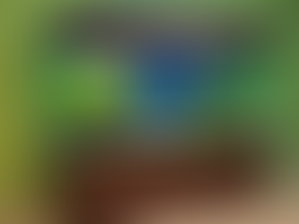 Aquarium Essentials: Best Products for Your Fish Tank