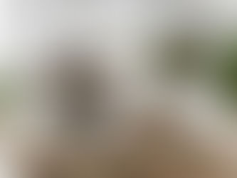 Transform Pet Happiness: Ultimate Small Animal Cages Guide