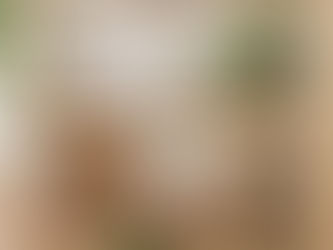 Discover the Top Small Animal Toys to Keep Your Pet Engaged and Active