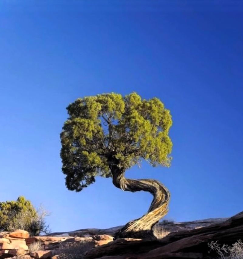 🩺 Rééducation de la Scoliose : Un Chemin Vers une Meilleure Qualité de Vie 🧘♀️