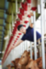 크기변환_IMG_2018