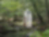 file 3200x2400_004907.jpg